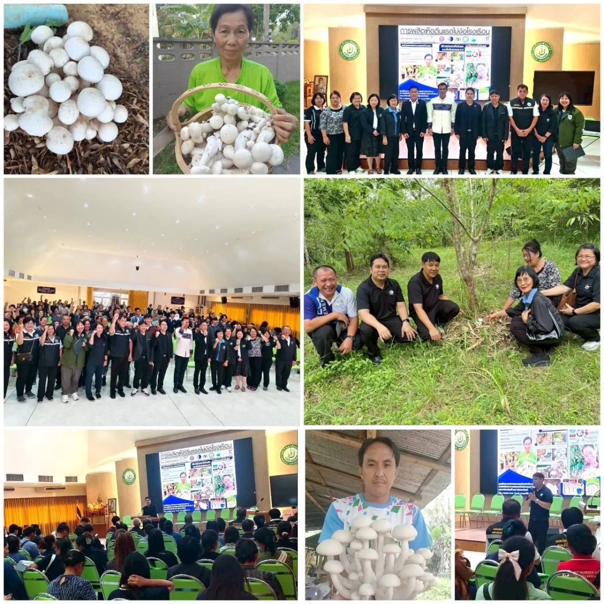 กระทรวงการอุดมศึกษา วิทยาศาสตร์ วิจัยและนวัตกรรม (อว.) โดย สถาบันวิจัยวิทยาศาสตร์และเทคโนโลยีแห่งประเทศไทย (วว.) ร่วมกับเครือข่ายพันธมิตร ประกอบด้วย มหาวิทยาลัยแม่โจ้-แพร่เฉลิมพระ...
